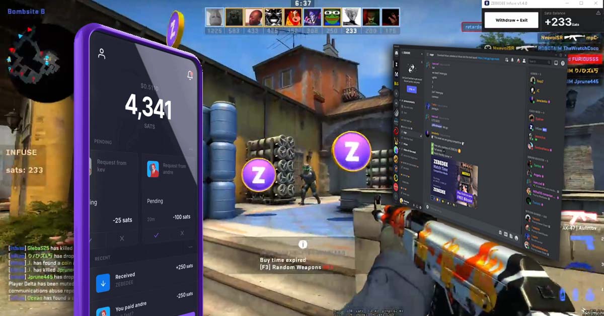 ZEBEDEE Infuse, ZEBEDEE Wallet and ZEBEDEE Discord